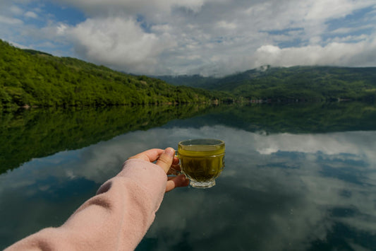Les Origines du Thé Matcha